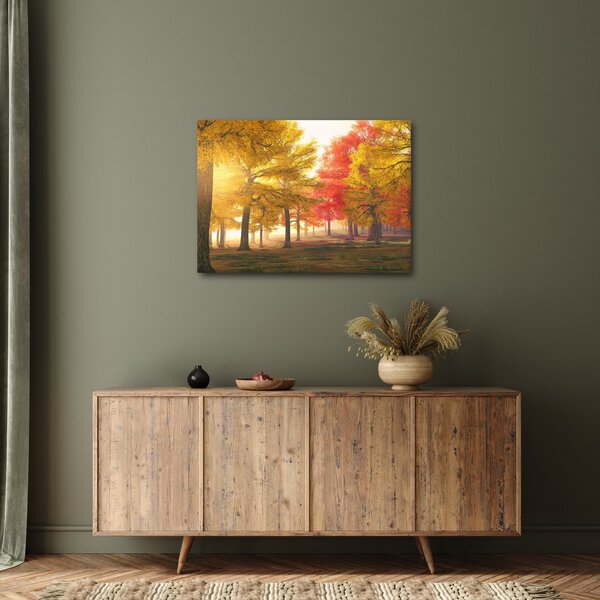 Obraz jesenných stromov (70x50 cm)