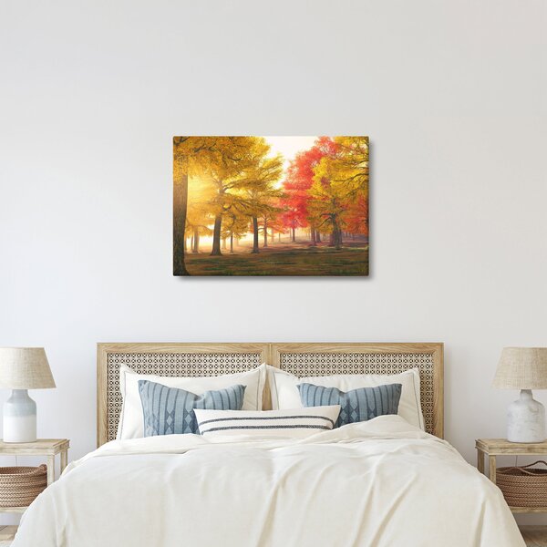Obraz jesenných stromov (70x50 cm)