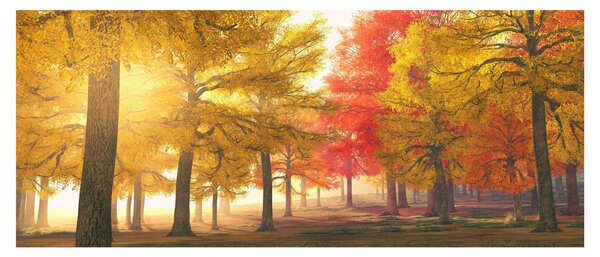 Obraz jesenných stromov (120x50 cm)