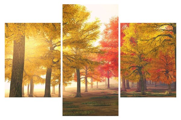 Obraz jesenných stromov (90x60 cm)