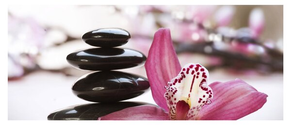 Obraz masážnych kameňov a orchidey na vode (120x50 cm)
