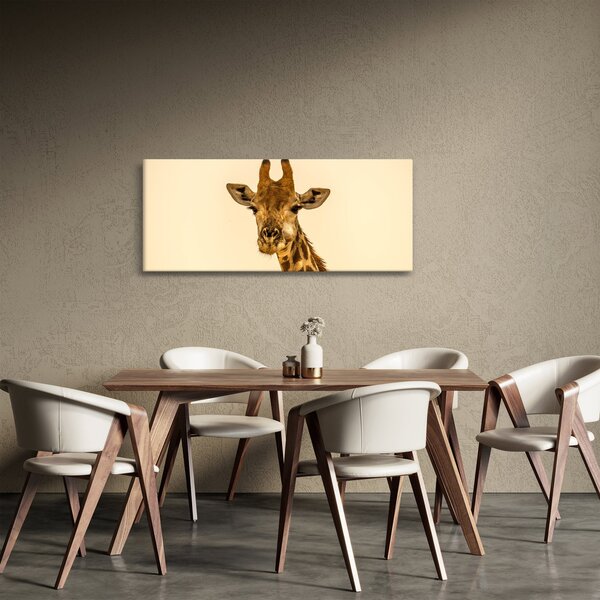 Obraz žirafy (120x50 cm)