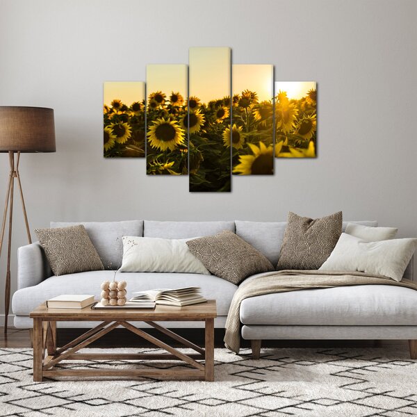 Obraz slnečnicového poľa (150x105 cm)
