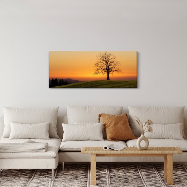 Obraz západu slnka na lúke (120x50 cm)