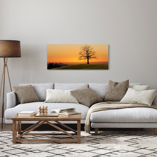 Obraz západu slnka na lúke (120x50 cm)