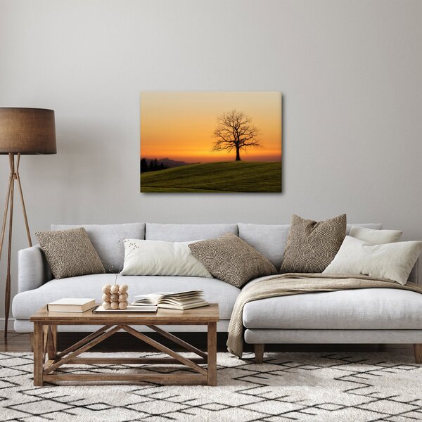 Obraz západu slnka na lúke (70x50 cm)