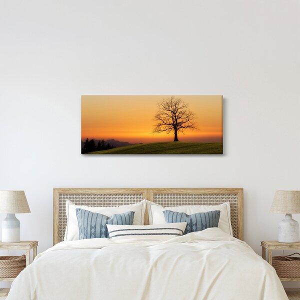 Obraz západu slnka na lúke (120x50 cm)