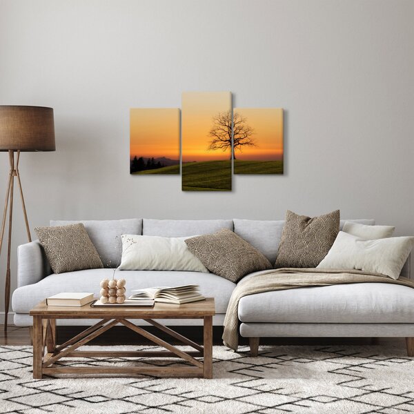 Obraz západu slnka na lúke (90x60 cm)