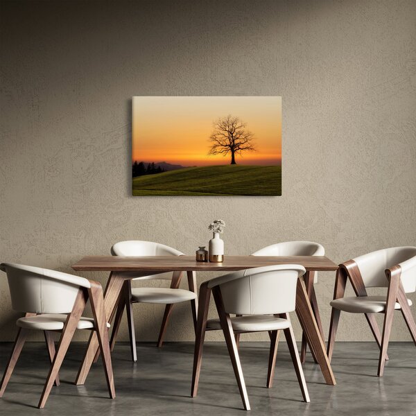 Obraz západu slnka na lúke (90x60 cm)
