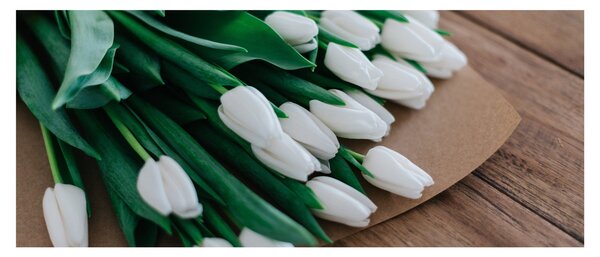 Obraz kytice bielych tulipánov (120x50 cm)