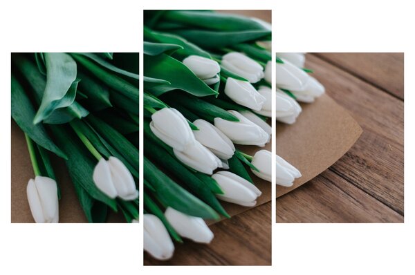 Obraz kytice bielych tulipánov (90x60 cm)