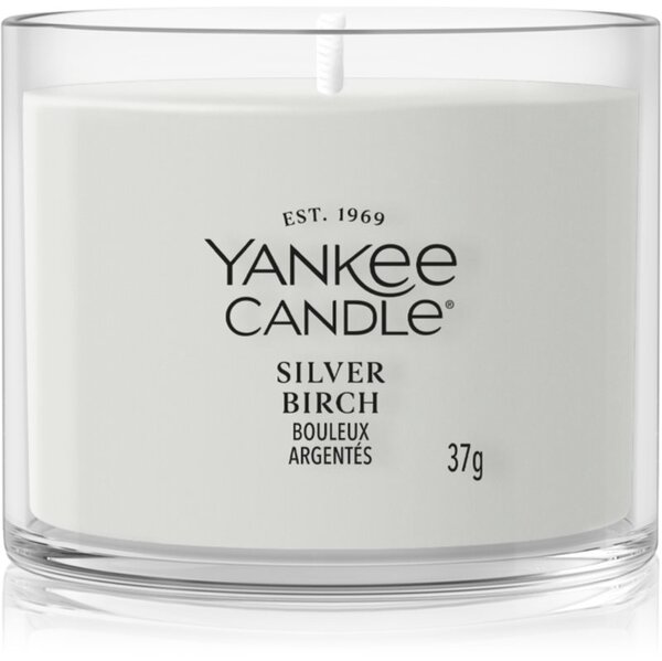 Yankee Candle Silver Birch votívna sviečka 37 g
