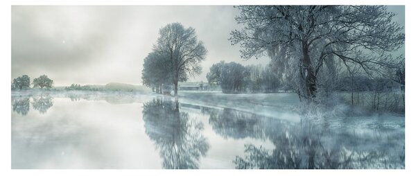 Obraz zimnej prírody (120x50 cm)