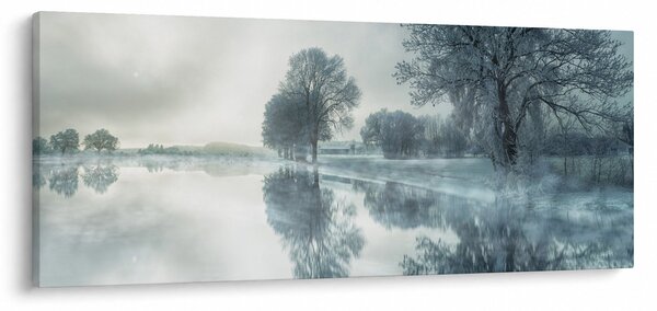 Obraz zimnej prírody (120x50 cm)