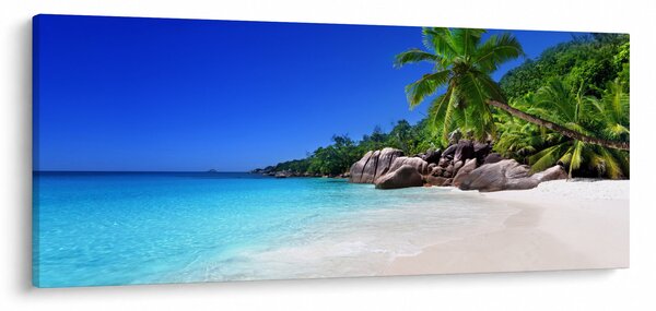 Obraz pláže na Praslin ostrove (120x50 cm)