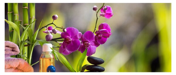 Obraz - spa and stones (120x50 cm)