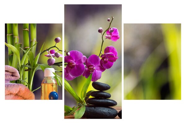 Obraz - spa and stones (90x60 cm)