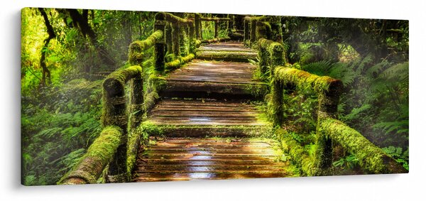 Obraz schodov v dažďovom pralese (120x50 cm)