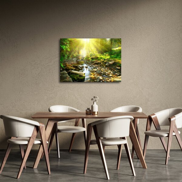 Obraz rieky v zelenom lese (70x50 cm)