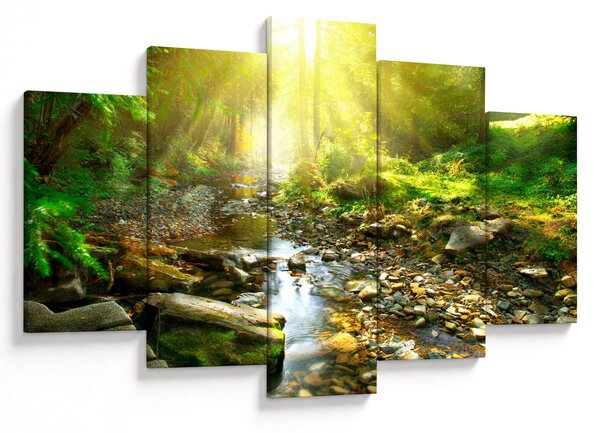 Obraz rieky v zelenom lese (150x105 cm)