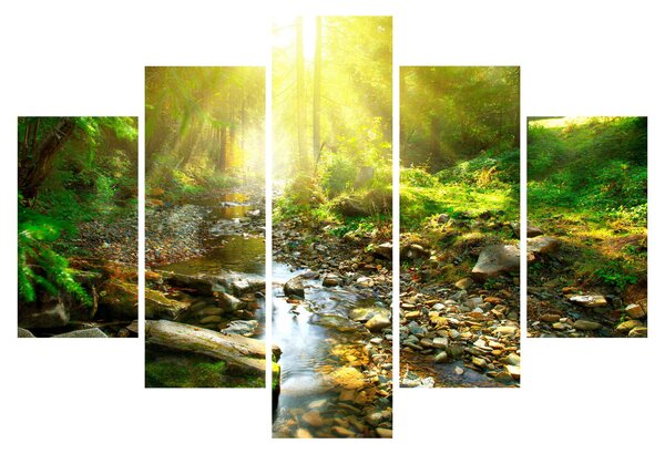Obraz rieky v zelenom lese (150x105 cm)