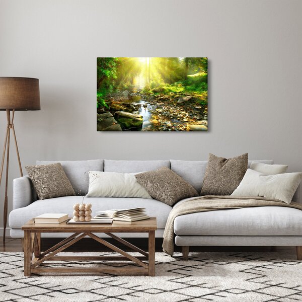 Obraz rieky v zelenom lese (90x60 cm)
