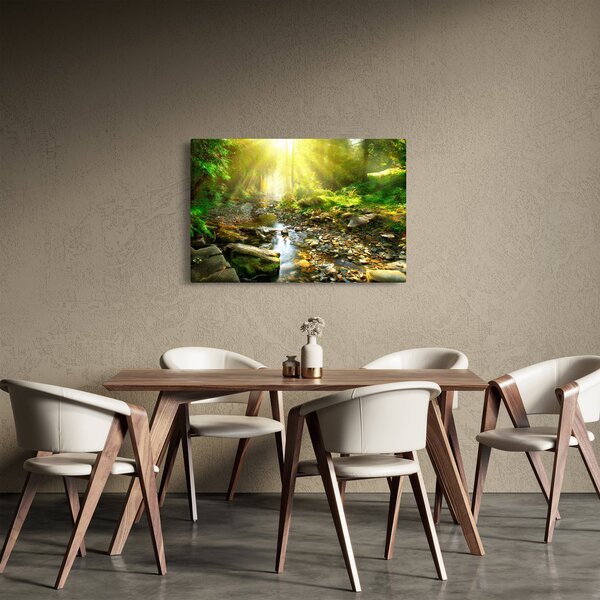 Obraz rieky v zelenom lese (90x60 cm)