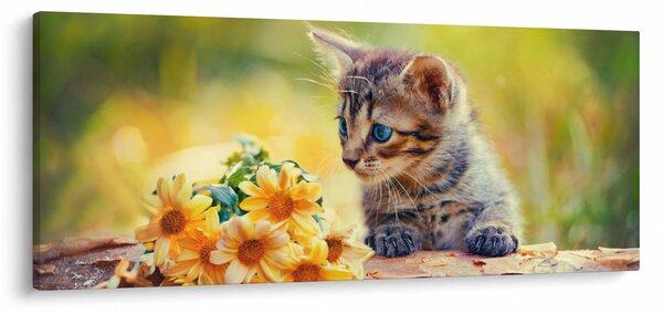 Obraz mačiatka pozerajúce sa na kvetinu (120x50 cm)