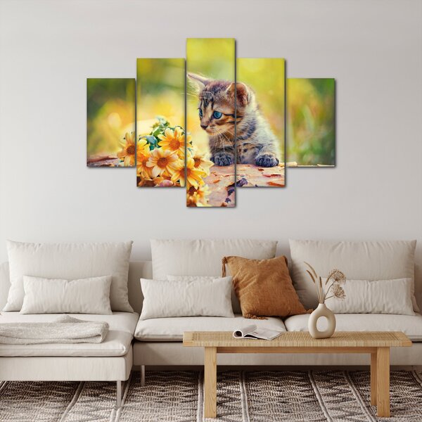 Obraz mačiatka pozerajúce sa na kvetinu (150x105 cm)