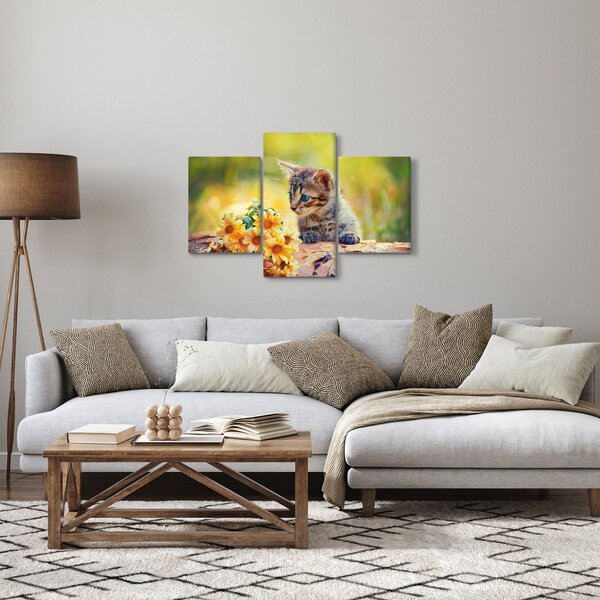 Obraz mačiatka pozerajúce sa na kvetinu (90x60 cm)