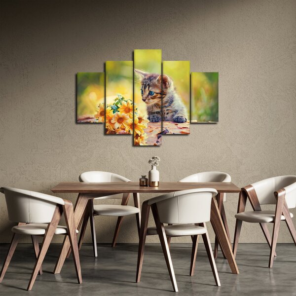 Obraz mačiatka pozerajúce sa na kvetinu (150x105 cm)