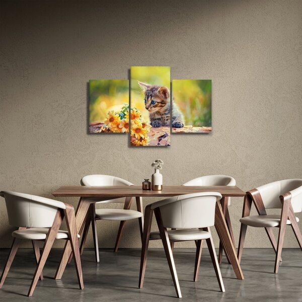 Obraz mačiatka pozerajúce sa na kvetinu (90x60 cm)