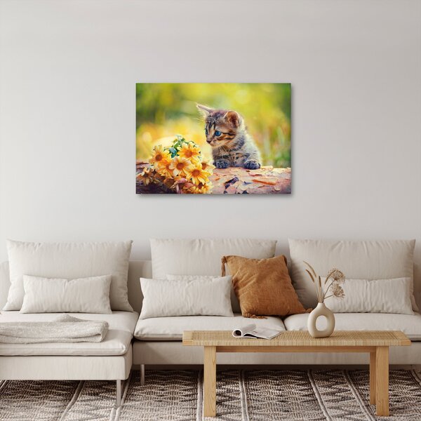 Obraz mačiatka pozerajúce sa na kvetinu (70x50 cm)