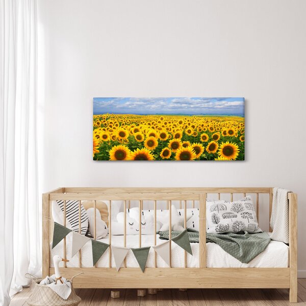 Obraz slnečnicového poľa (120x50 cm)