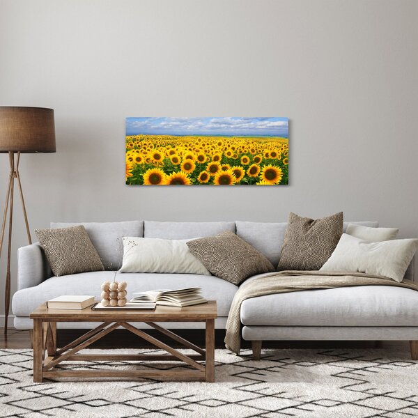 Obraz slnečnicového poľa (120x50 cm)