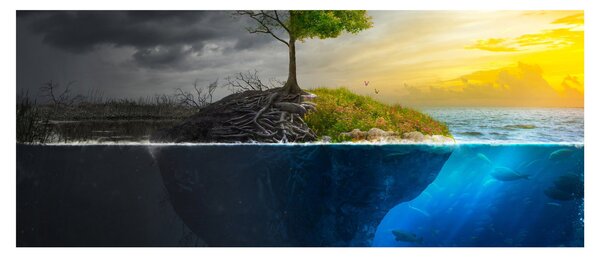 Obraz znázorňujúci dve strany (120x50 cm)