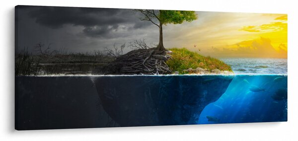 Obraz znázorňujúci dve strany (120x50 cm)