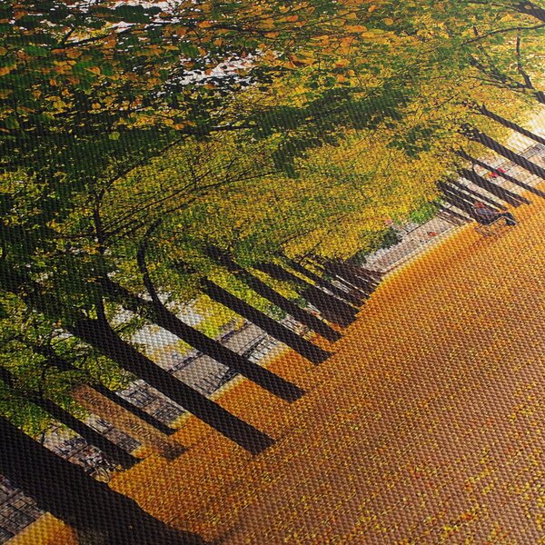 Obraz aleje jesenných stromov (150x105 cm)