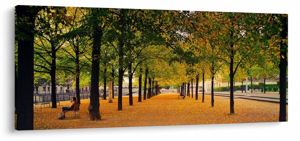 Obraz aleje jesenných stromov (120x50 cm)
