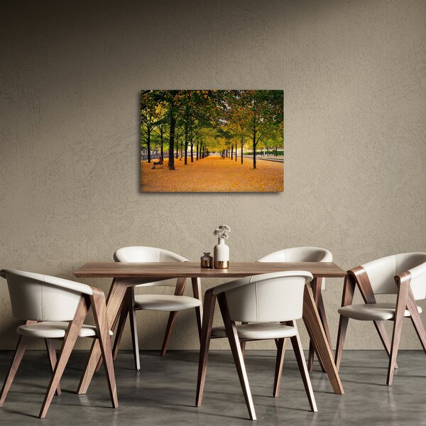 Obraz aleje jesenných stromov (70x50 cm)