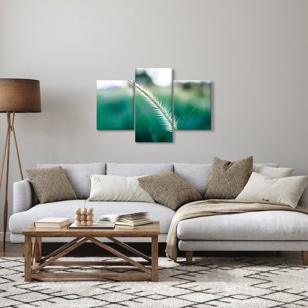 Obraz steblá trávy (90x60 cm)