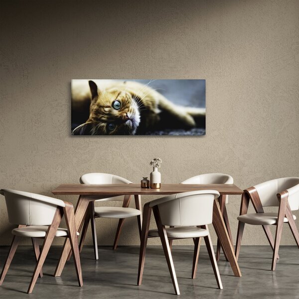 Obraz mačiatka (120x50 cm)