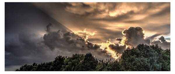 Obraz mračien a lesa (120x50 cm)