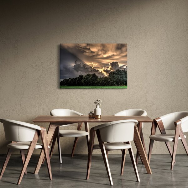 Obraz mračien a lesa (90x60 cm)