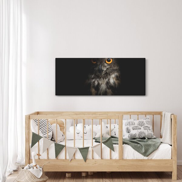 Obraz sovy (120x50 cm)