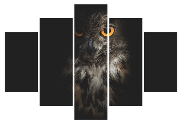 Obraz sovy (150x105 cm)