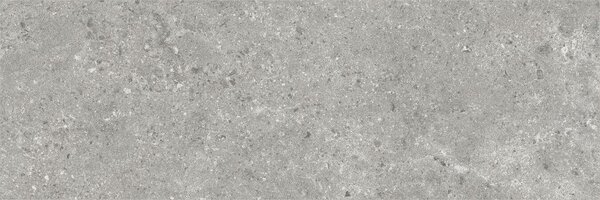 Stoneland Grey 40x120 R