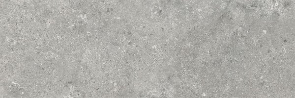 Stoneland Grey 40x120 R