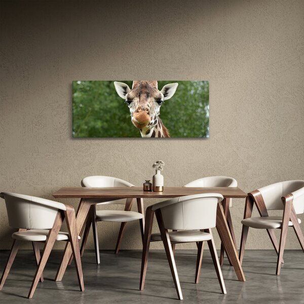 Obraz žirafy (120x50 cm)