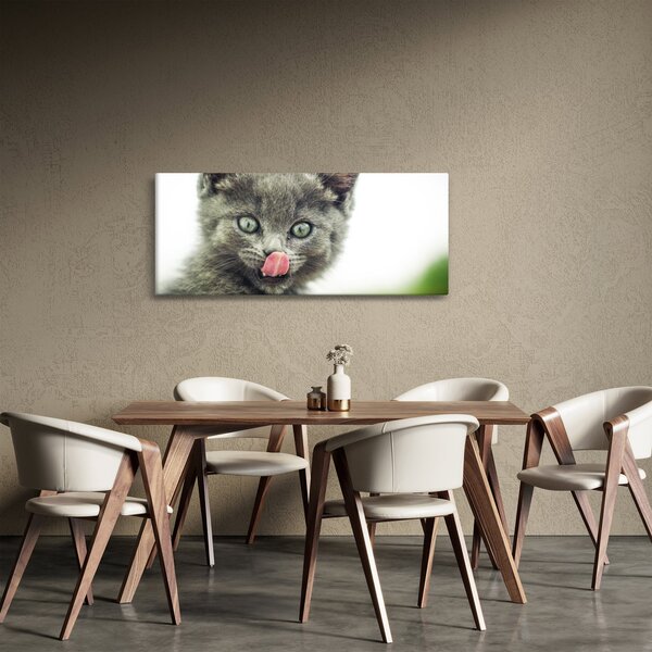 Obraz oblizujícího sa mačiatka (120x50 cm)